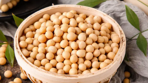 大豆分离蛋白在食品加工中的应用